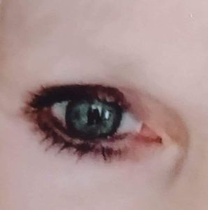 Meet your Posher, Barbie